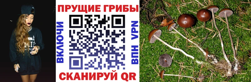 хочу наркоту  Нововоронеж  Галлюциногенные грибы ЛСД 