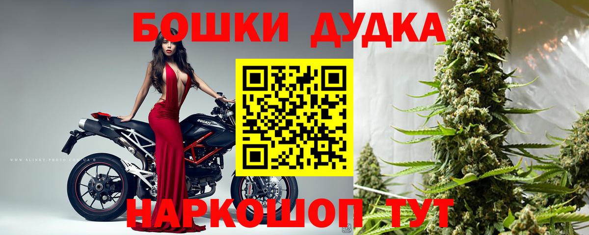 Бошки Шишки индика  Вход с VPN  Бошки Шишки Ganja  Шишки марихуана Ganja  Нововоронеж 